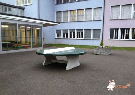 Image 6